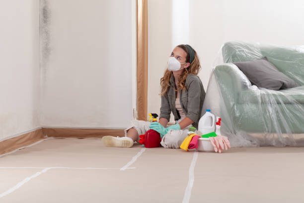 Trusted Black Mold Removal service in Sarasota, FL - WQB Mold Removal